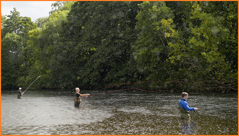 JW FLY FISHING